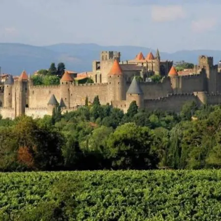 Ruby - 2 Dans Vieux Prieure Pres De Carcassonne *